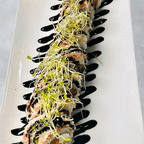 Best SR23. Philadelphia Eagle in Rock Hill, SC